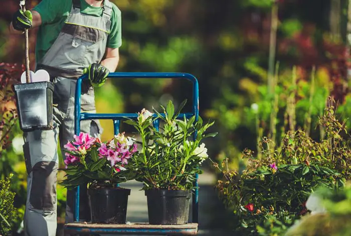 Garden Landscaping