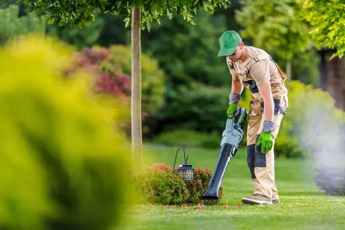 Landscaping Services
