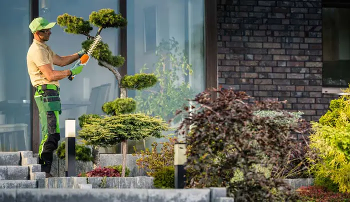 Landscaping Company