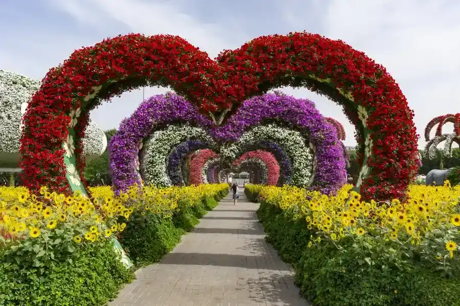 Affordable Landscape Installation Boonton, NJ