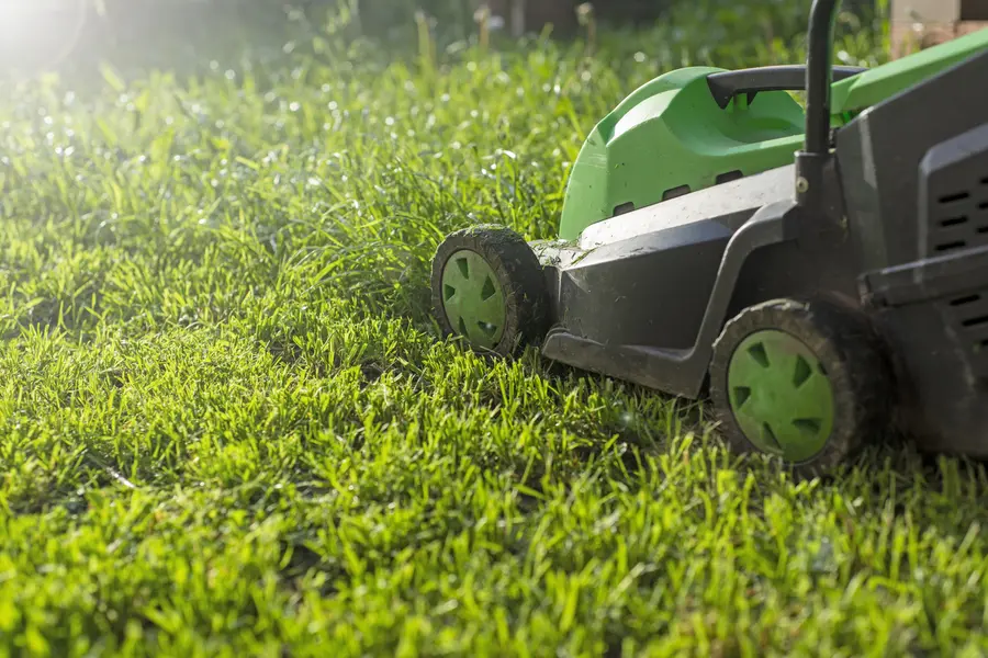 Benefits Of Hiring Professionals For Lawn Mowing Services in Boonton, NJ