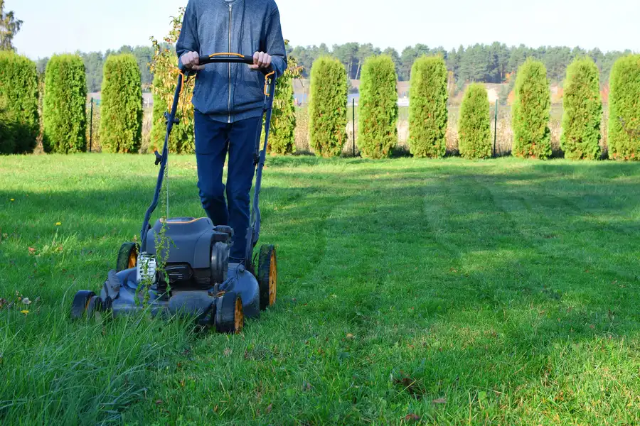 Common Lawn Mowing Mistakes And How To Avoid Them Boonton, NJ