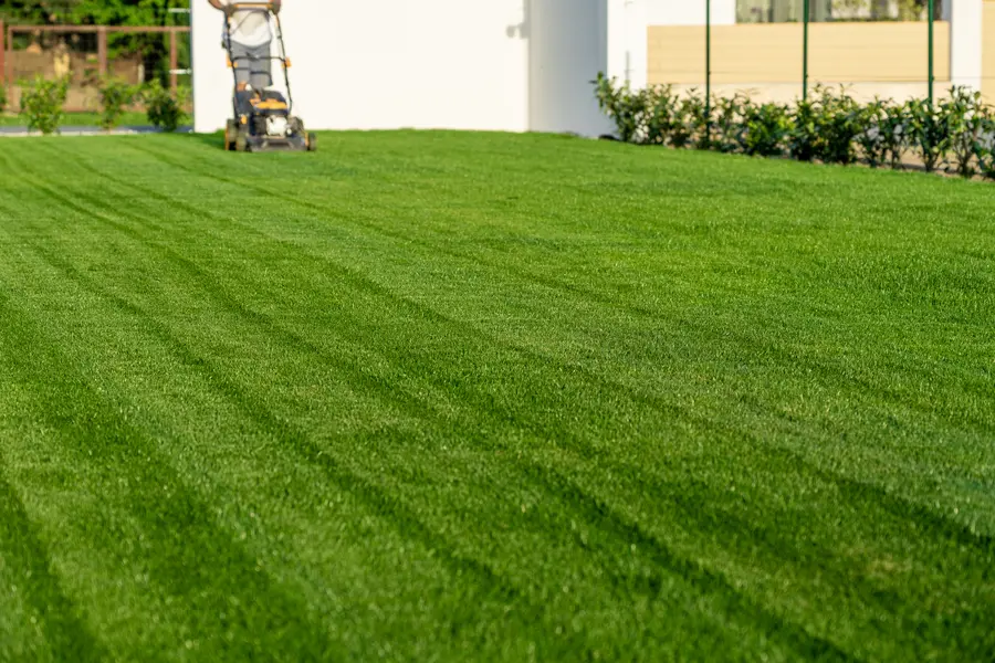 Common Lawn Mowing Mistakes And How To Avoid Them in Boonton, NJ