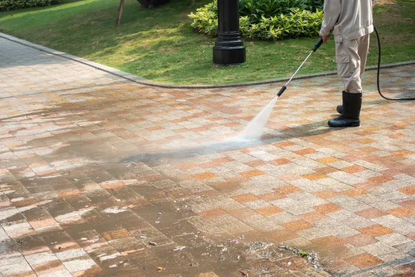 Elvin Lawn Care's Other Services Elvin Lawn Care's Other Services