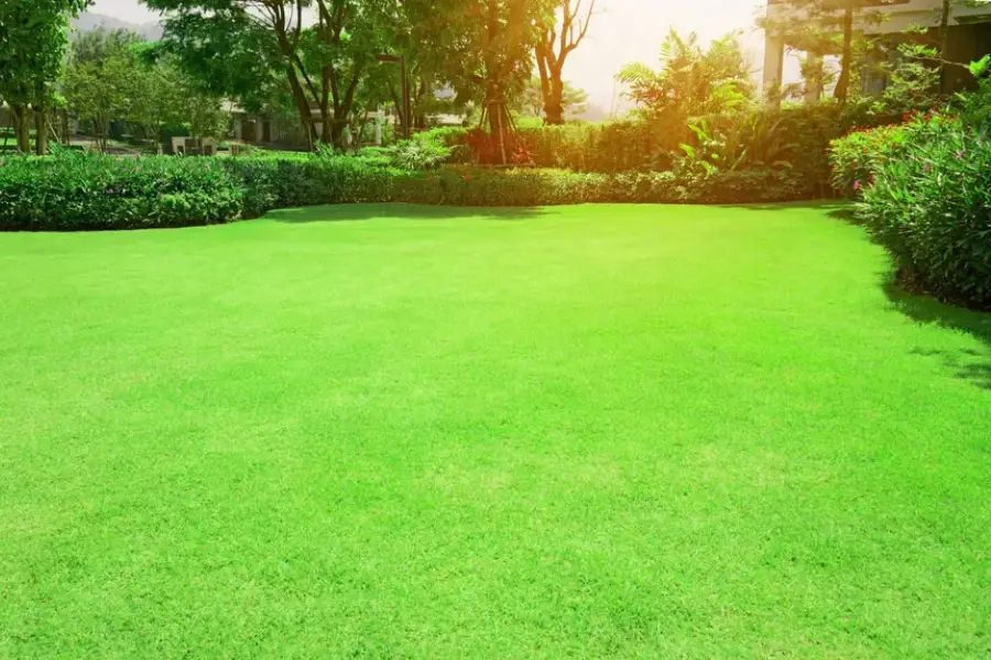 Essential Tips For Year-round Landscape Care And Upkeep Boonton, NJ