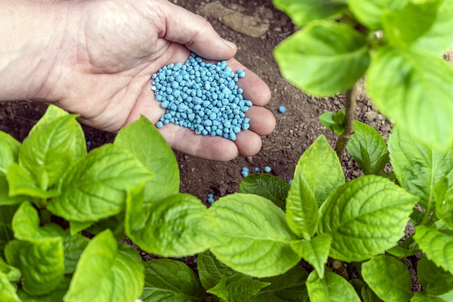 Experienced Lawn Fertilizing Boonton, NJ