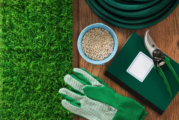 Lawn Fertilizing Lawn Fertilizing
