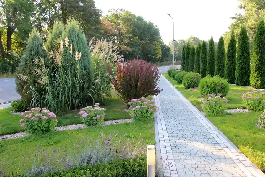 Premium Landscape Maintenance Boonton, NJ