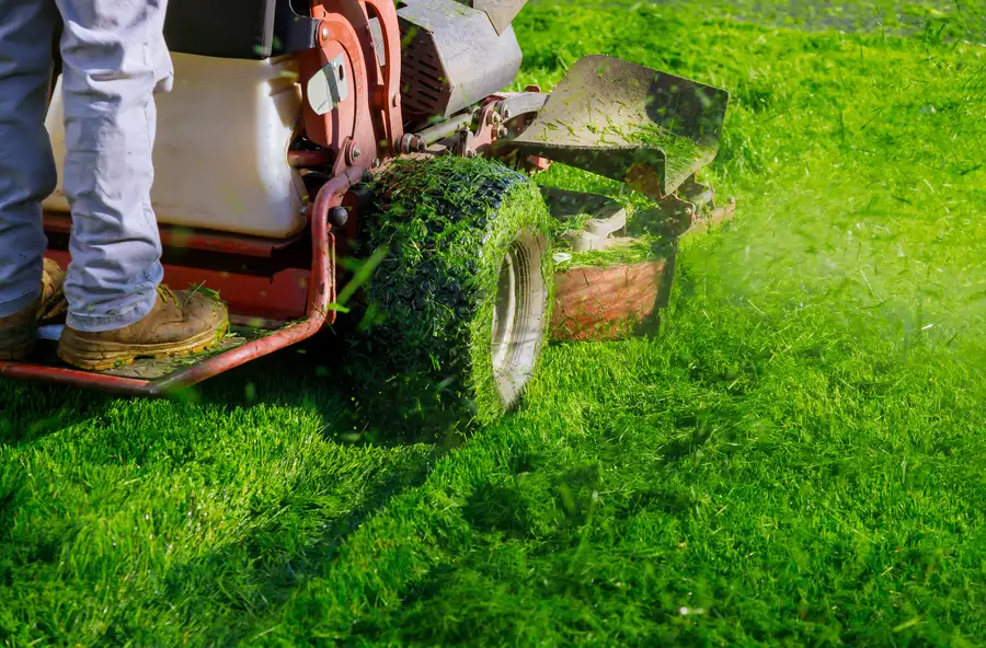 Professional Lawn Mowing Boonton, NJ
