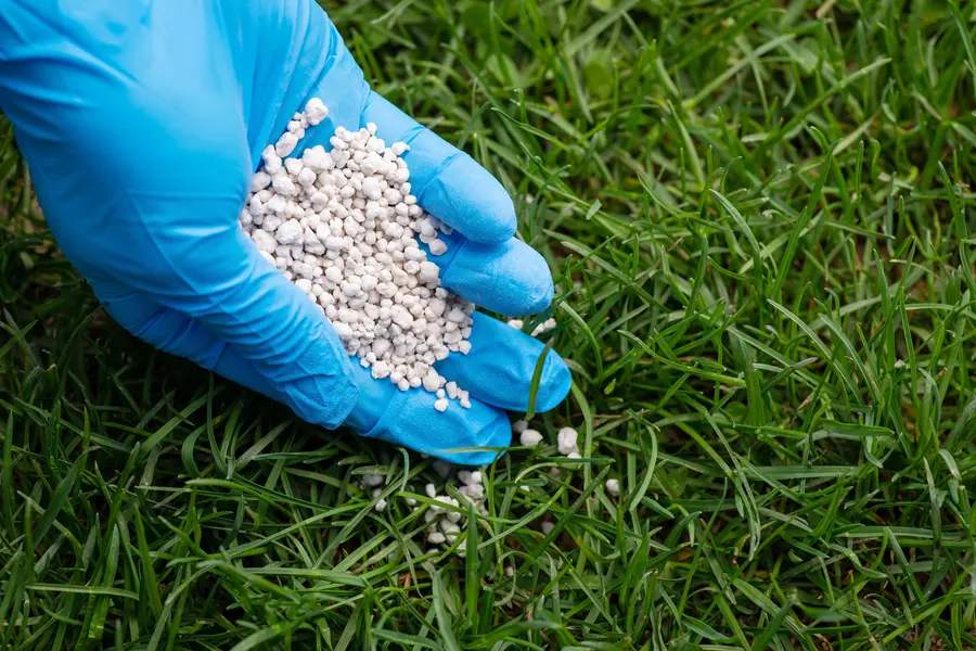 Quality Lawn Fertilizing Boonton, NJ