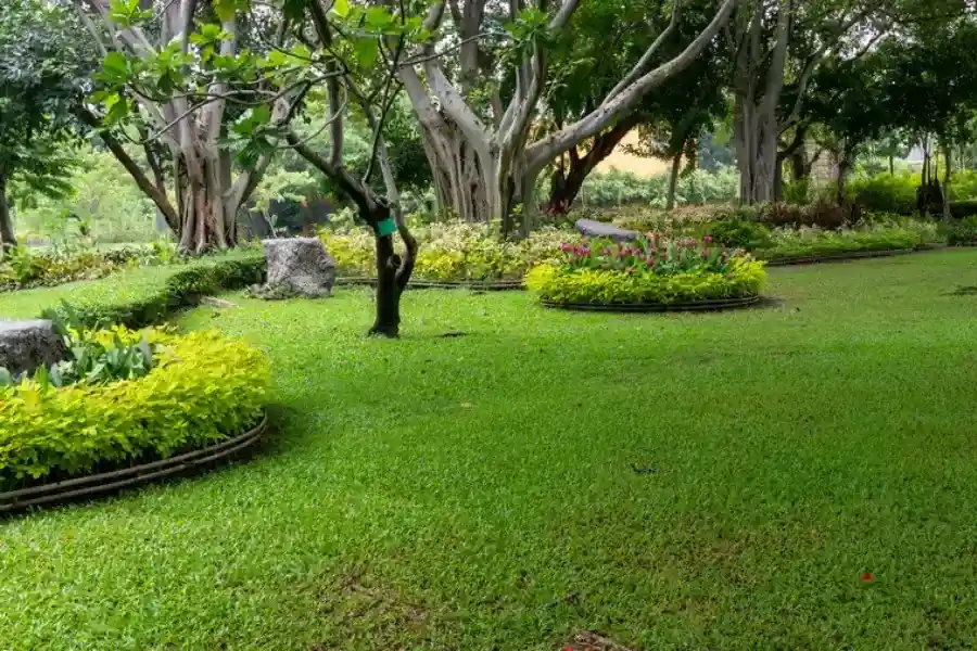 Superior Landscape Maintenance Boonton, NJ