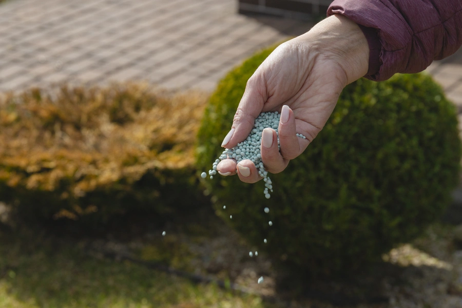 The Best Time To Apply Lawn Fertilizer For Optimal Results Boonton, NJ