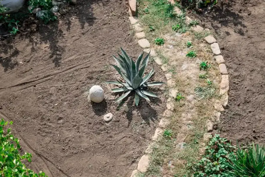 The Role Of Soil Quality In Landscape Installation Success Boonton, NJ