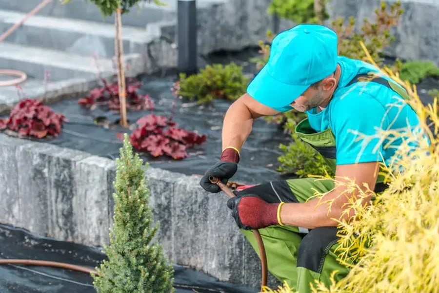 Top-rated Landscape Installation Boonton, NJ
