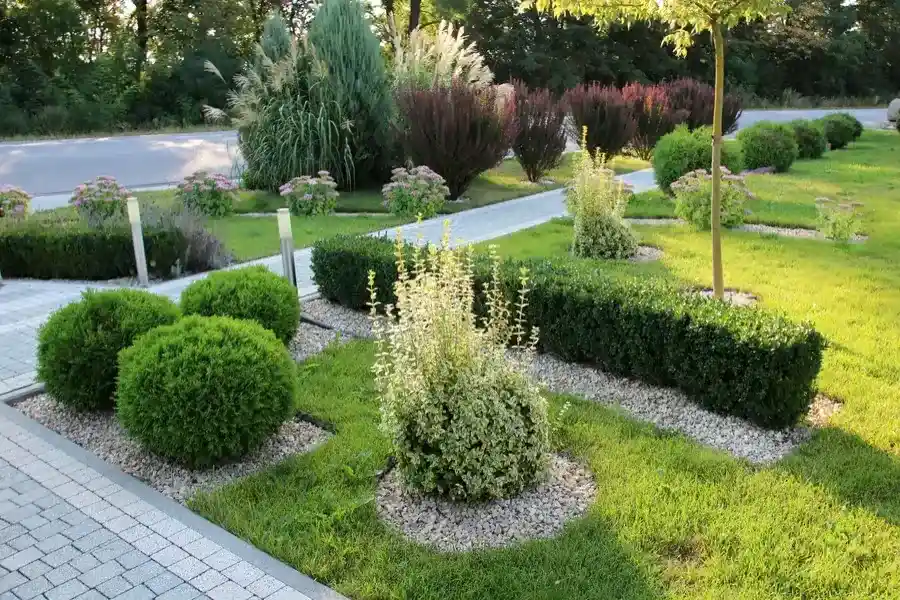 Understanding The Impact Of Landscape Maintenance On Curb Appeal in Boonton, NJ