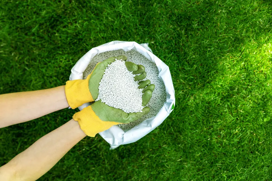Understanding Timing For Lawn Fertilizing Services Boonton, NJ