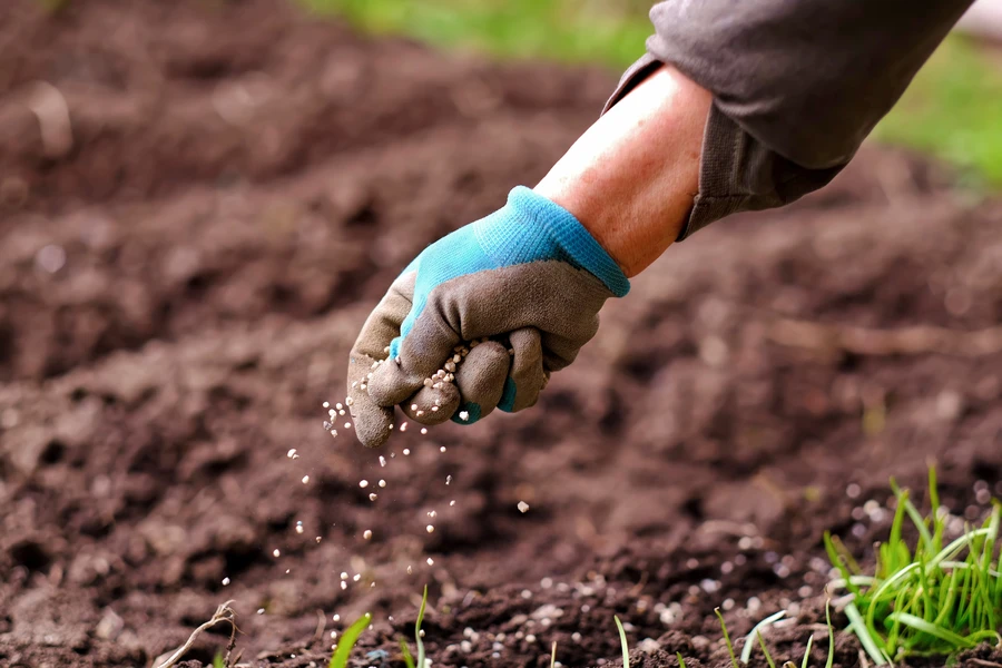 Understanding Timing For Lawn Fertilizing Services in Boonton, NJ